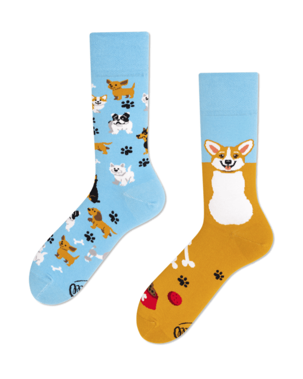 Playful Dog Socks by Many Mornings
