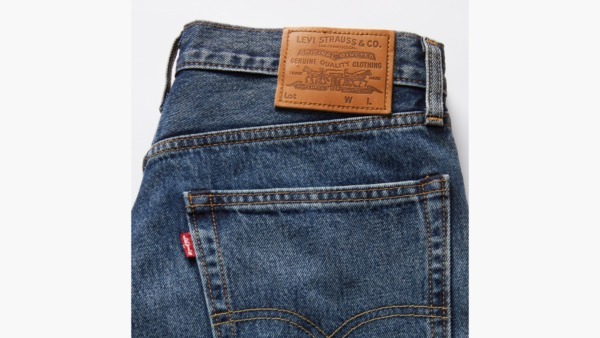 LEVIS 468 Stay Loose Shorts Picnic & Friends