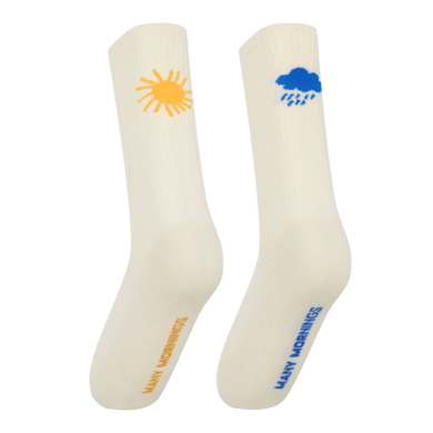 Sunny Rain Many Mornings